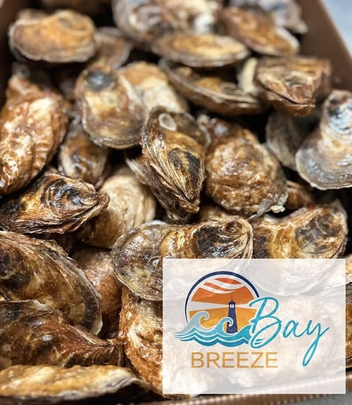 Murphy's Bay Breeze Large Oysters - 100 ct