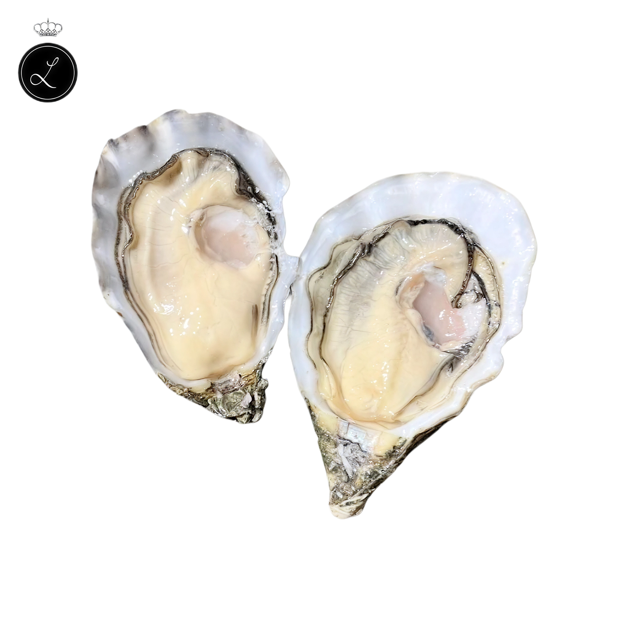 Prestige Lamaison Oysters