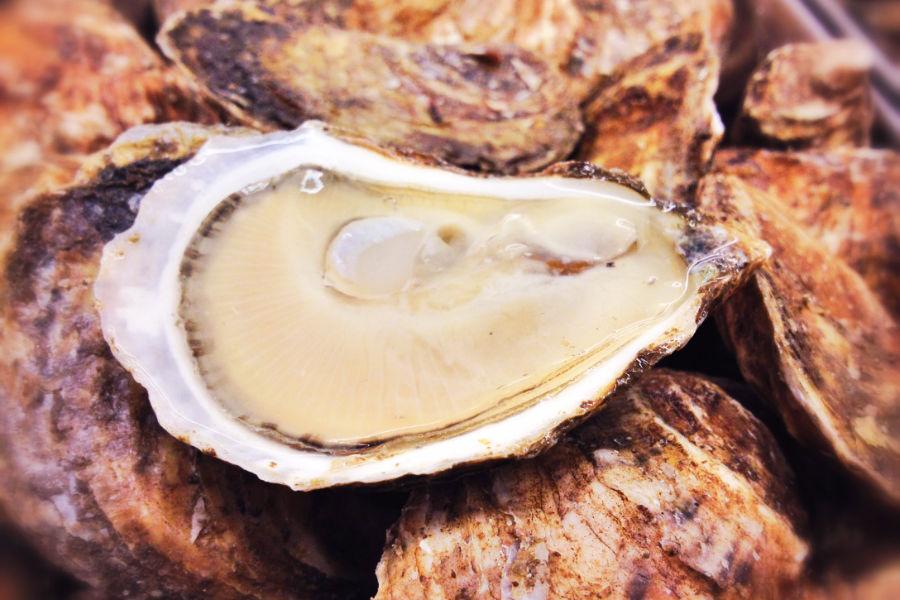 Huîtres Cotuit Large - Dz