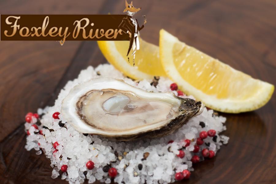 Foxley River - 100 un