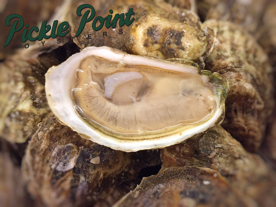 Plateau d'huîtres larges I.P.E.