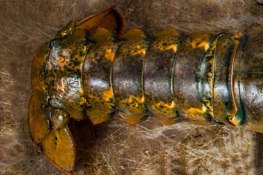 Queue de homard canadien congelée