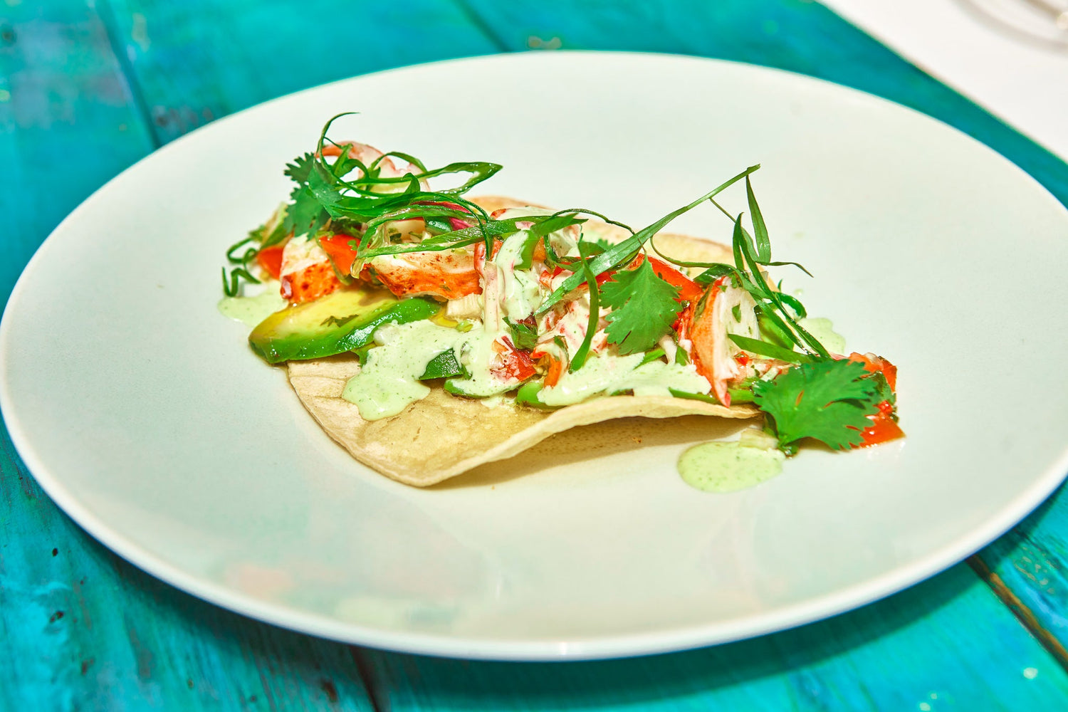 Tacos de Homard