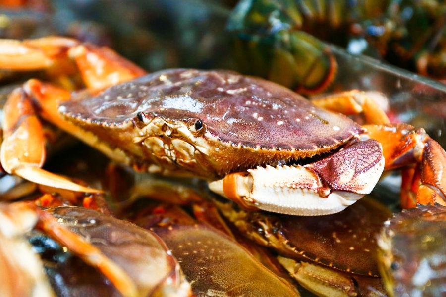 Live, fresh and frozen crab | Online Fish Market | La Mer