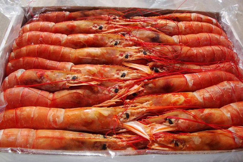 Fruits De Mer Congelés Au Cookeo