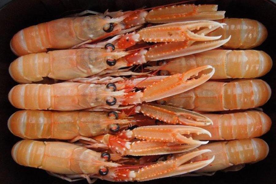 Langoustines