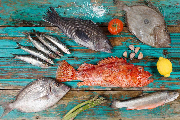A Large Selection of Fresh & Frozen Fish | Online Fish Market | La Mer