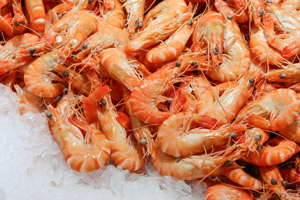Crevettes Montagui de la Baie d'Ungava 95/125