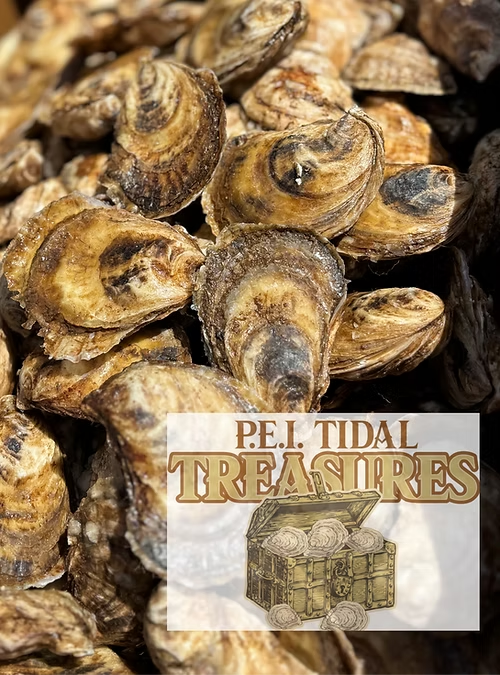 Murphy's Tidal Treasures Oysters - Dz