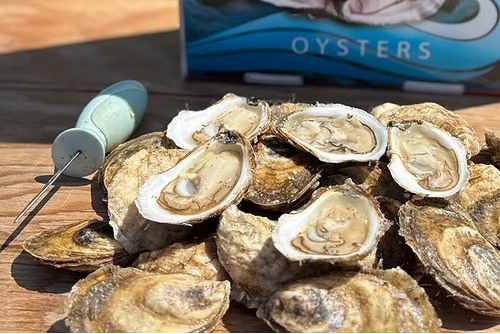 Murphy's Bay Breeze Large Oysters - 100 ct