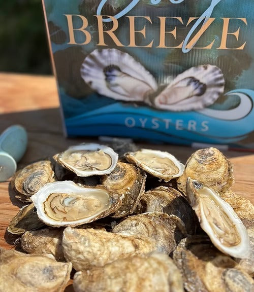 Murphy's Bay Breeze Large Oysters - 100 ct
