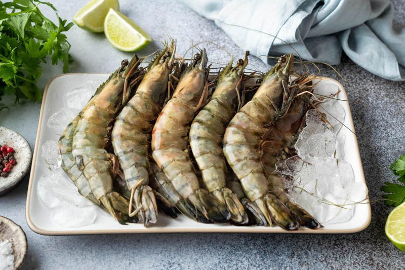 Crevettes tigrées entières