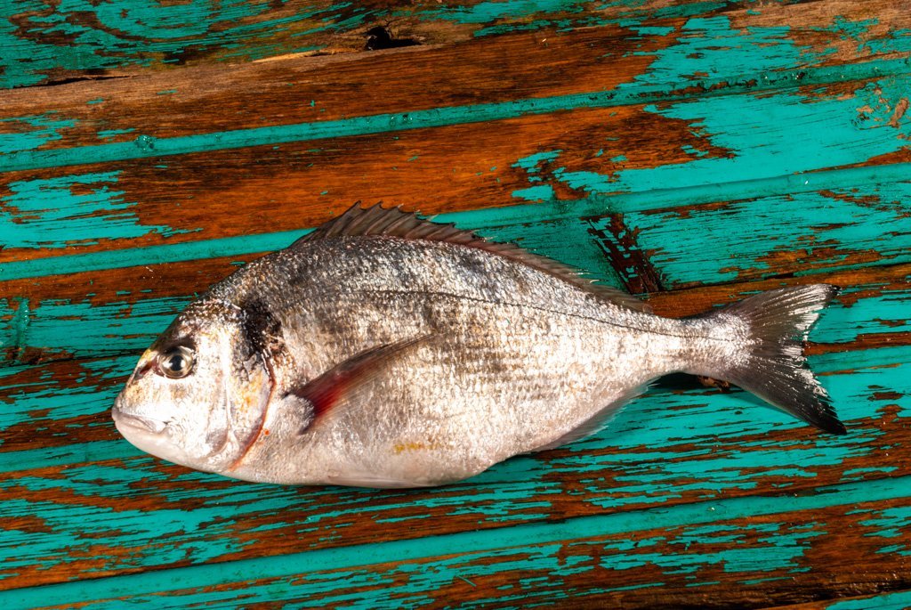 Dorade royale | Poissons frais | La Mer