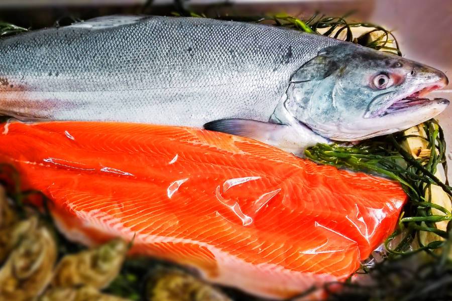 Filet de Saumon Sockeye Sauvage - 200 gr