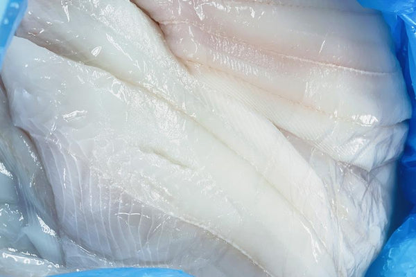 Filet de Turbot - 300 gr