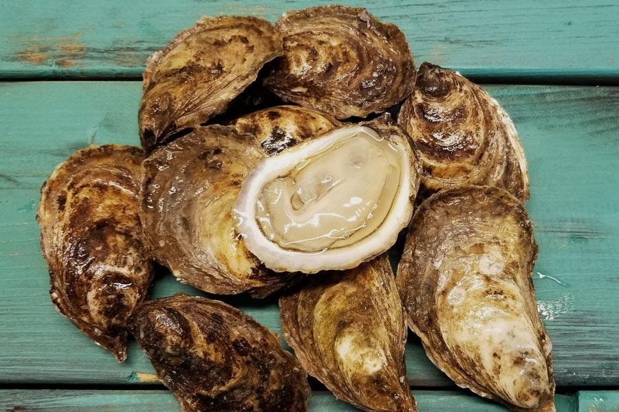 Huîtres fraîches toute l'année avec la Poissonnerie des Bastides