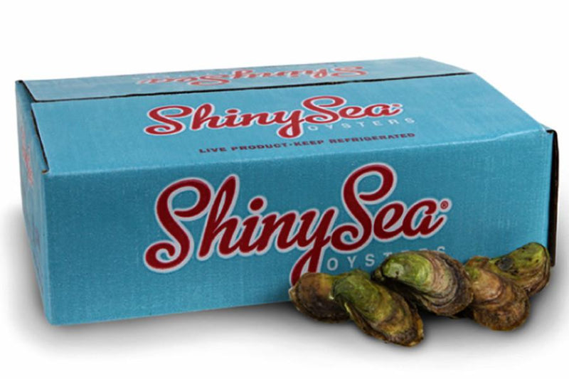 Huîtres Shiny Sea - 100 un