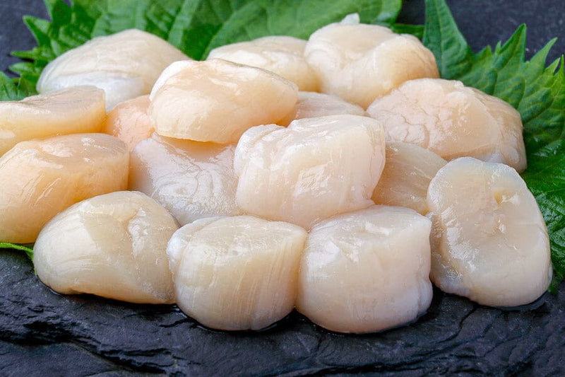 Pétoncle U12 frais - 1 lb
